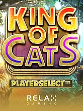 King of Cats